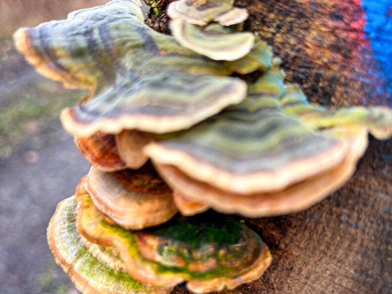 23-03-12 11-45-01 4778